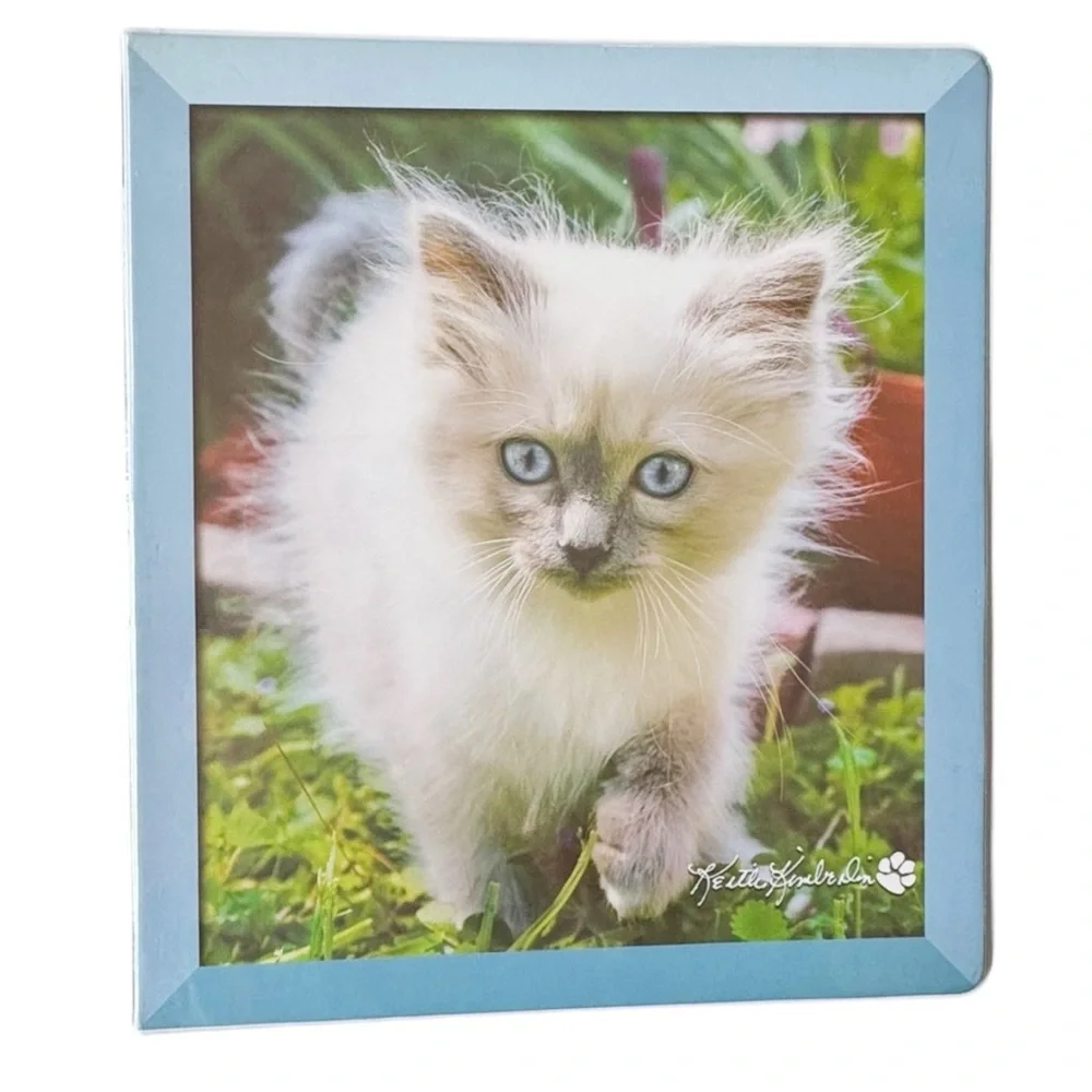 Class Act Keith Kimberlin Y2K Pastel Kitten Binders - Set of 3